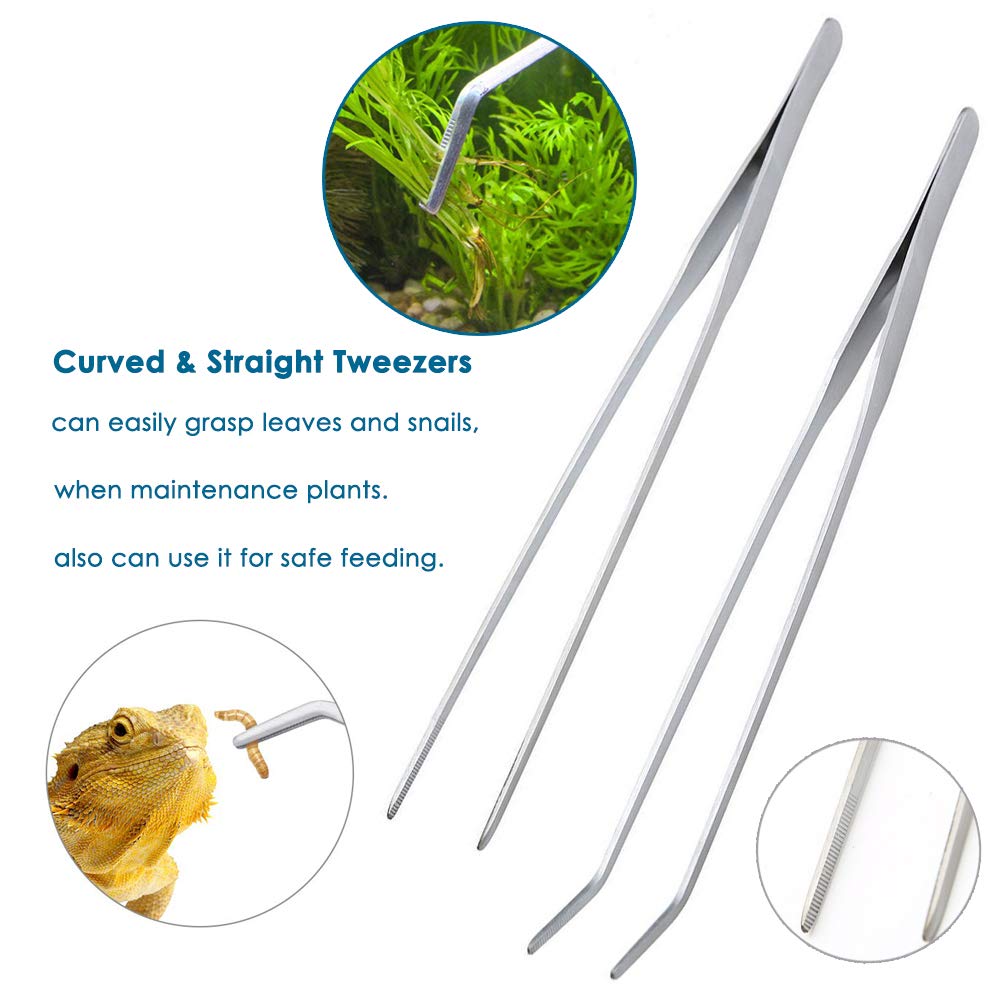 Your one-stop shop for diverse, top-quality aquarium supplies and accessories