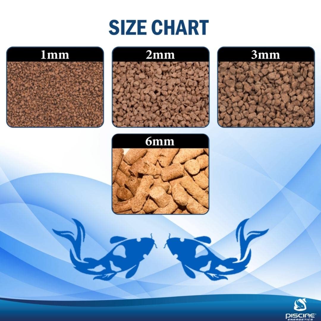 Your one-stop shop for diverse, top-quality aquarium supplies and accessories