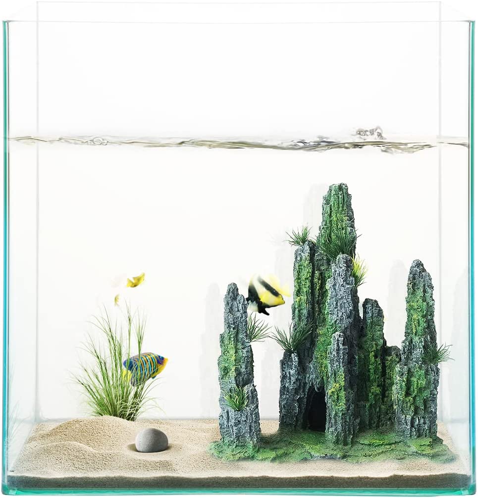 Your one-stop shop for diverse, top-quality aquarium supplies and accessories