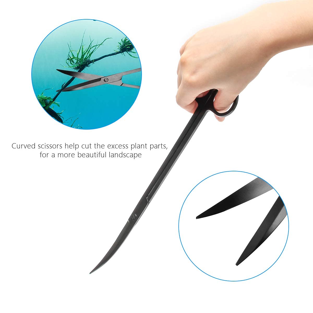 Your one-stop shop for diverse, top-quality aquarium supplies and accessories
