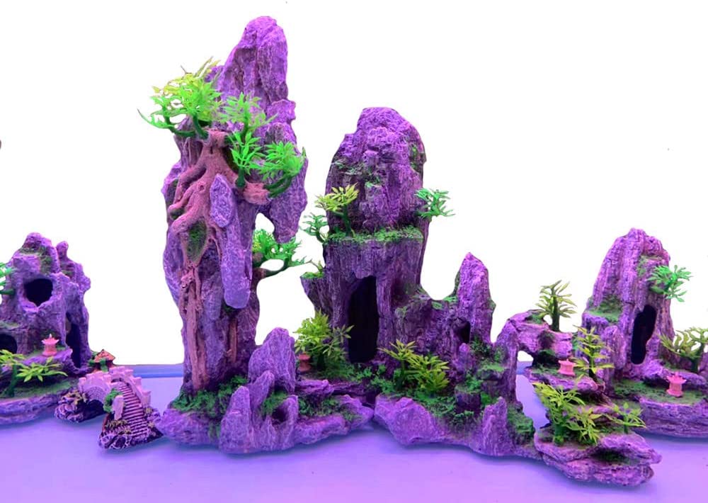 Your one-stop shop for diverse, top-quality aquarium supplies and accessories