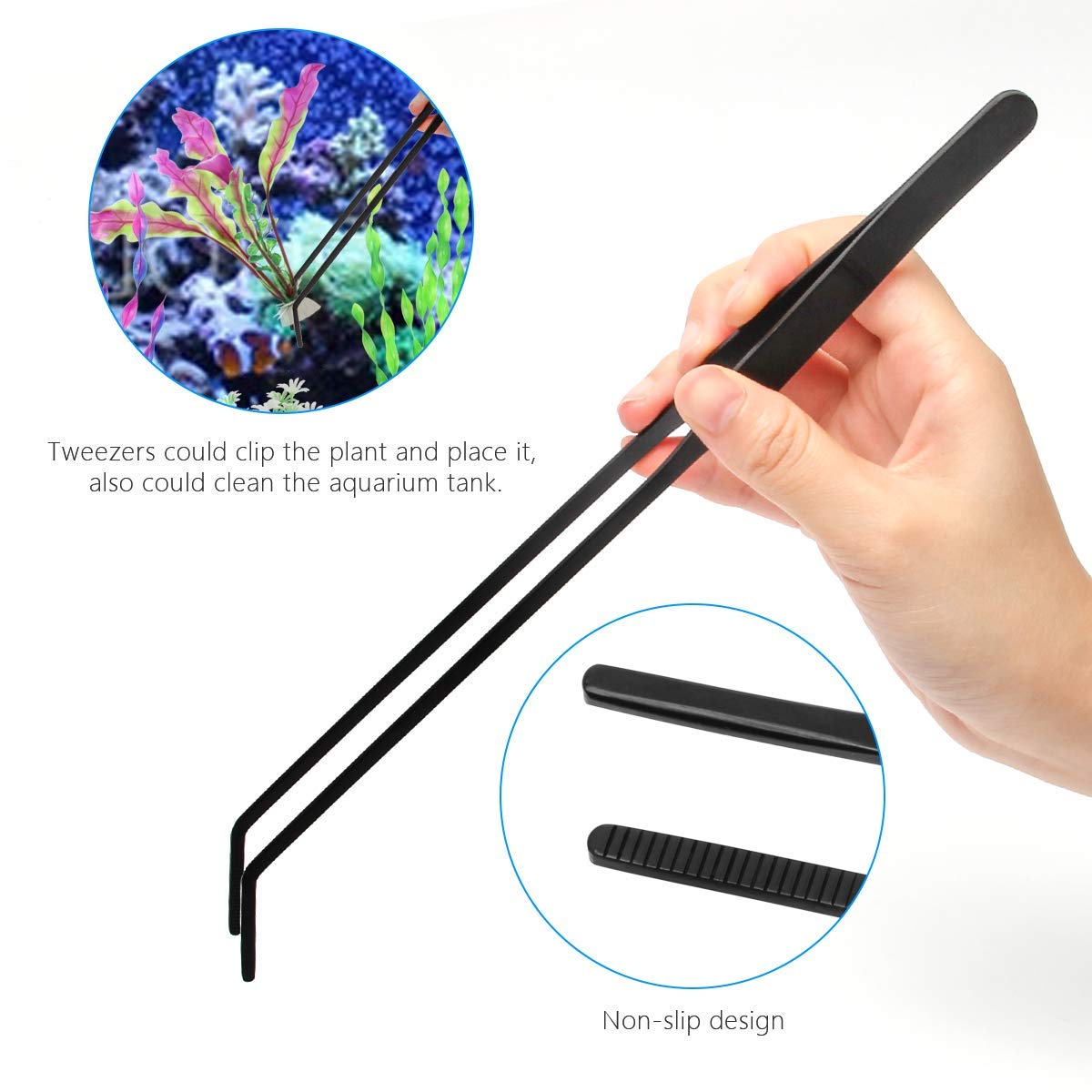 Your one-stop shop for diverse, top-quality aquarium supplies and accessories