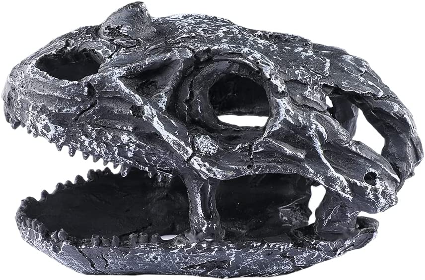 Your one-stop shop for diverse, top-quality aquarium supplies and accessories