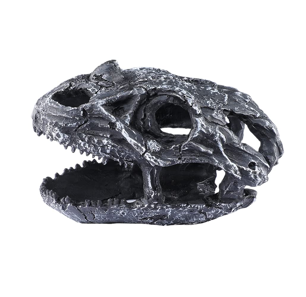 Your one-stop shop for diverse, top-quality aquarium supplies and accessories