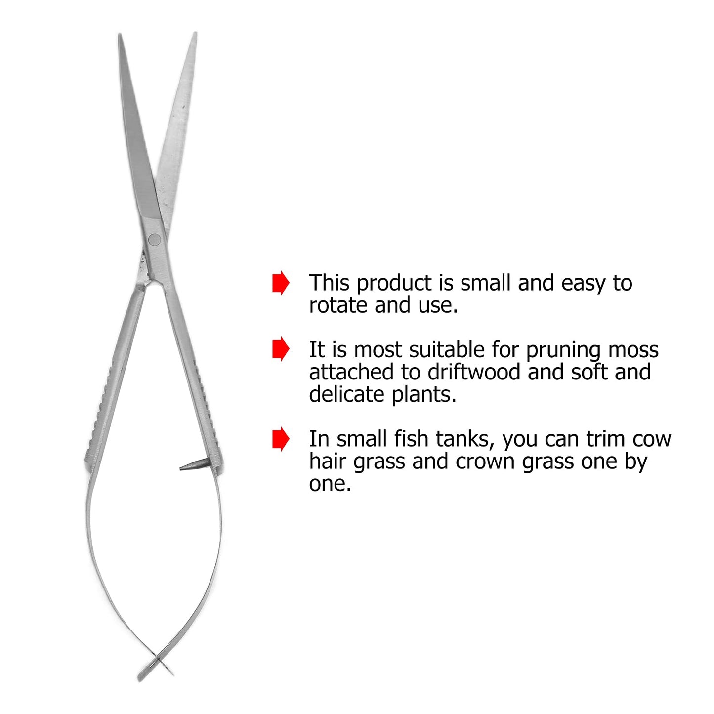 Your one-stop shop for diverse, top-quality aquarium supplies and accessories