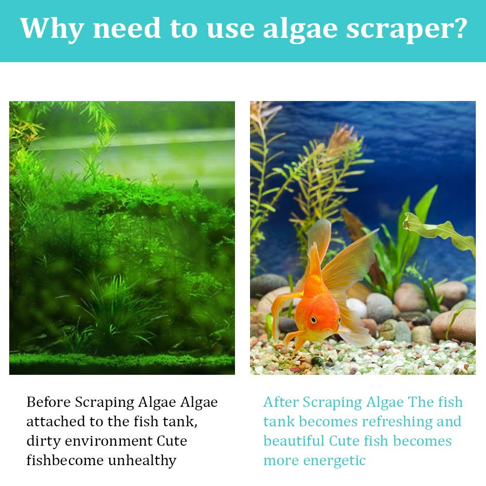 Your one-stop shop for diverse, top-quality aquarium supplies and accessories