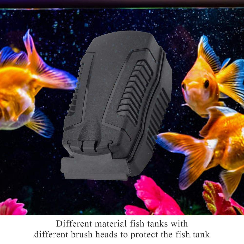 Your one-stop shop for diverse, top-quality aquarium supplies and accessories