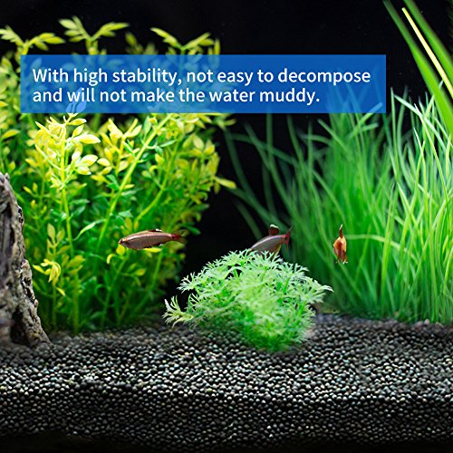 Your one-stop shop for diverse, top-quality aquarium supplies and accessories