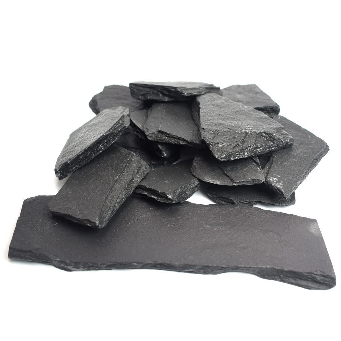 Your one-stop shop for diverse, top-quality aquarium supplies and accessories