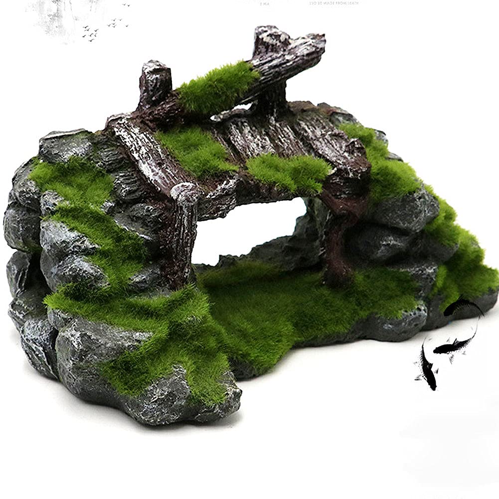 Your one-stop shop for diverse, top-quality aquarium supplies and accessories
