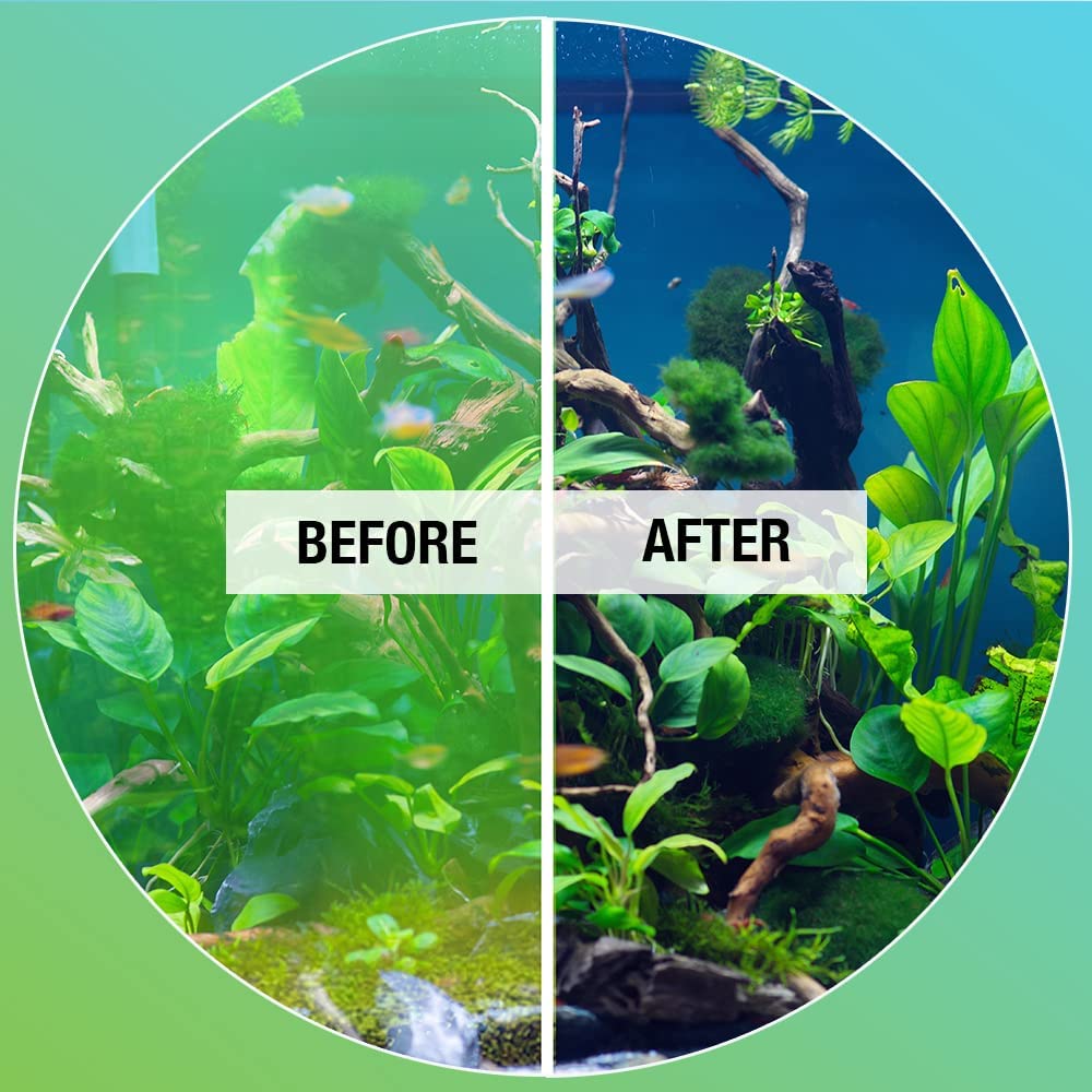 Your one-stop shop for diverse, top-quality aquarium supplies and accessories