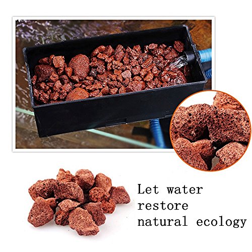 Your one-stop shop for diverse, top-quality aquarium supplies and accessories