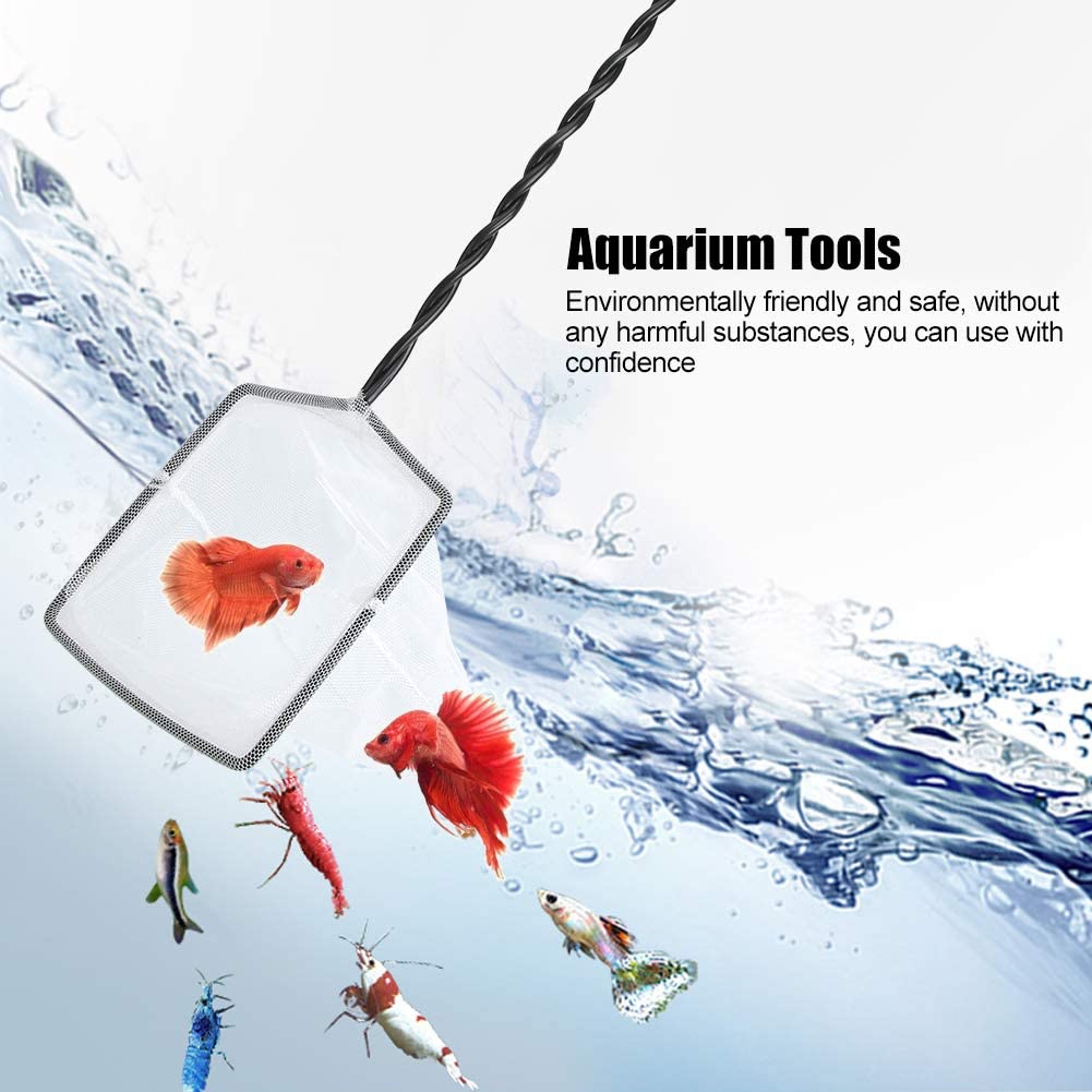 Your one-stop shop for diverse, top-quality aquarium supplies and accessories