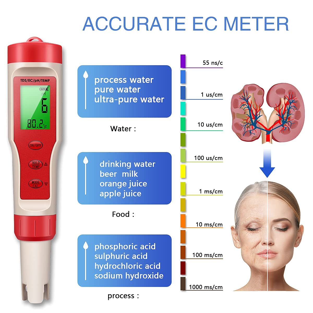 Your one-stop shop for diverse, top-quality aquarium supplies and accessories