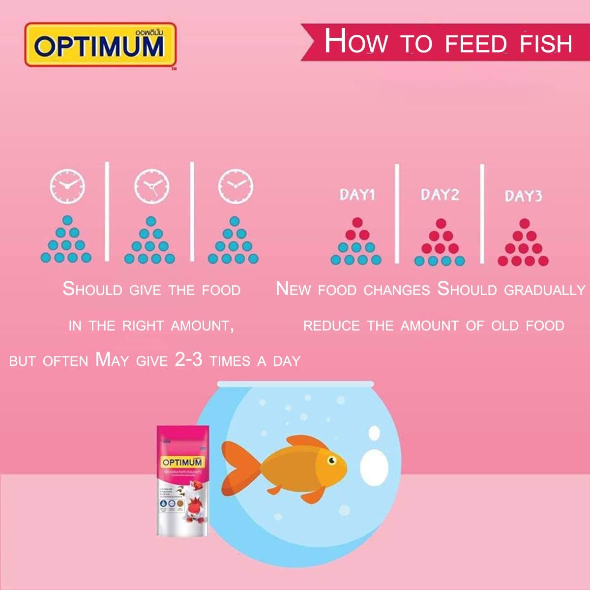 Your one-stop shop for diverse, top-quality aquarium supplies and accessories