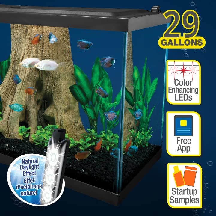 Your one-stop shop for diverse, top-quality aquarium supplies and accessories