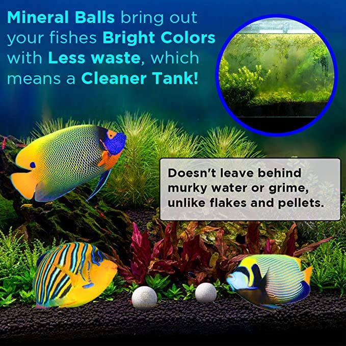 Your one-stop shop for diverse, top-quality aquarium supplies and accessories