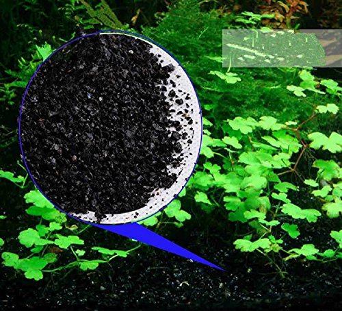Your one-stop shop for diverse, top-quality aquarium supplies and accessories
