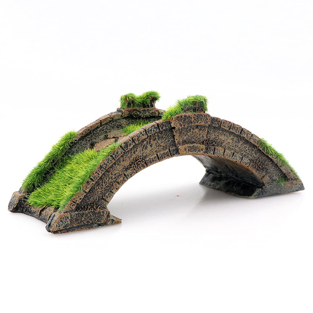 Your one-stop shop for diverse, top-quality aquarium supplies and accessories