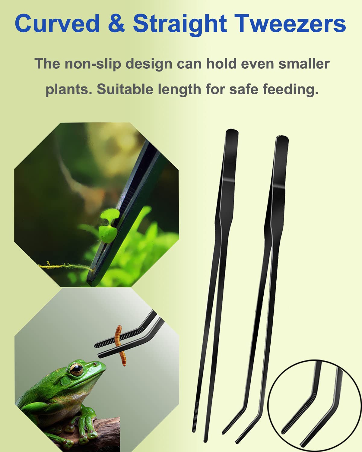 Your one-stop shop for diverse, top-quality aquarium supplies and accessories