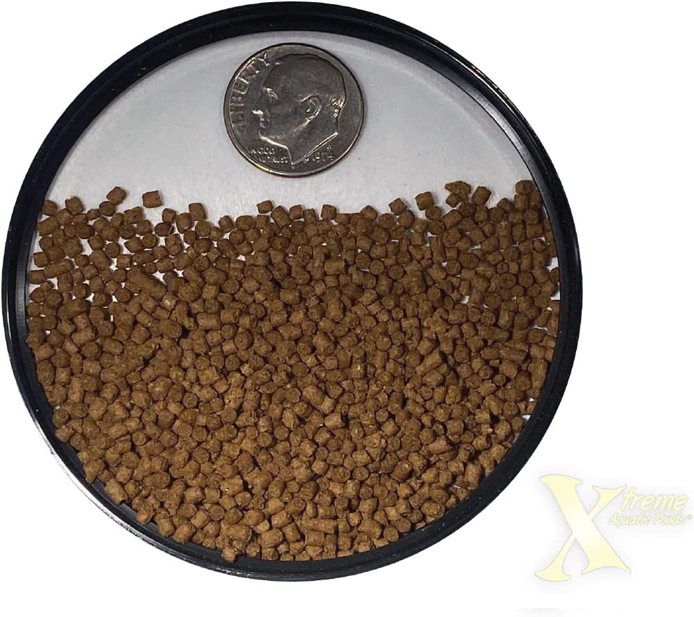 Your one-stop shop for diverse, top-quality aquarium supplies and accessories