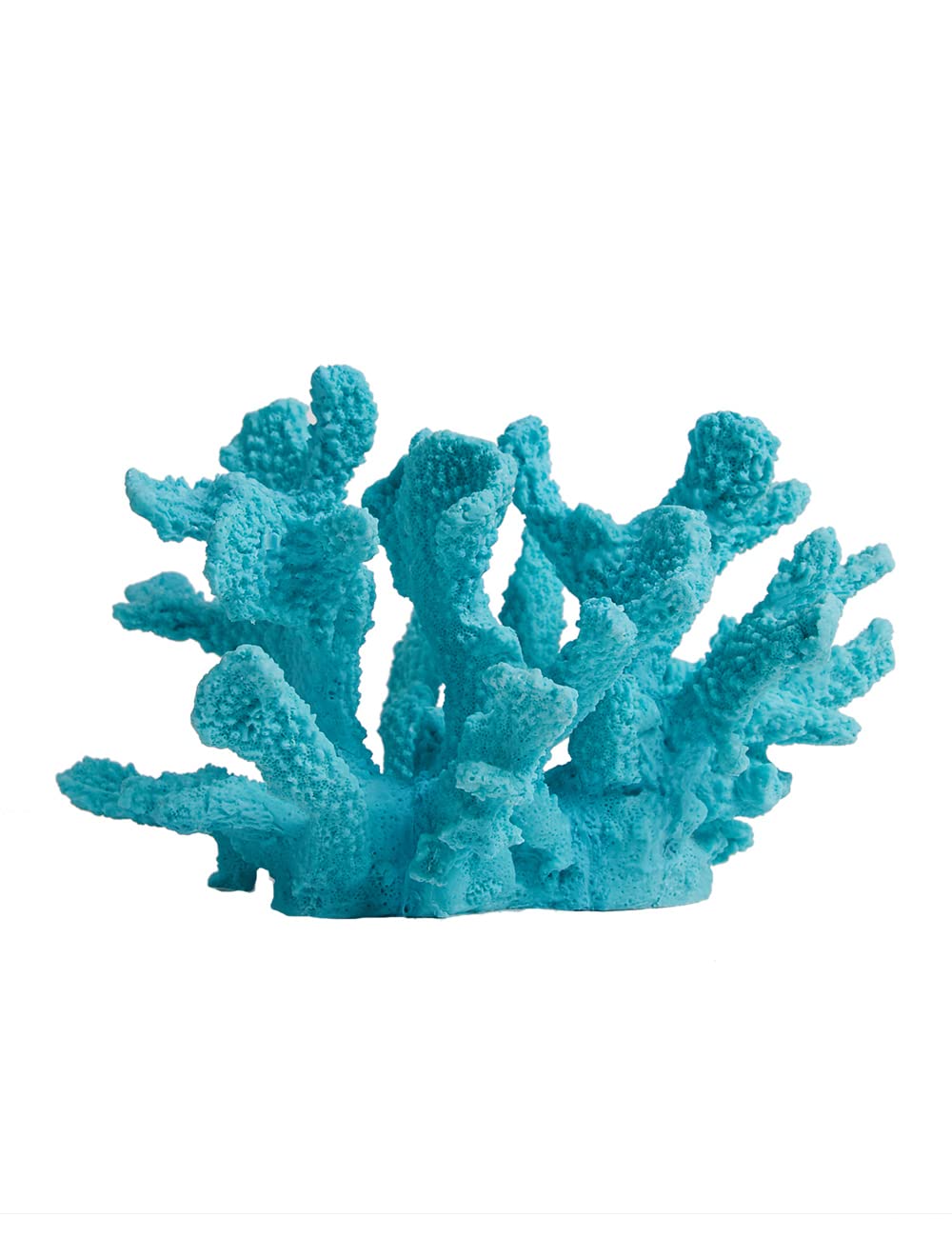 Your one-stop shop for diverse, top-quality aquarium supplies and accessories