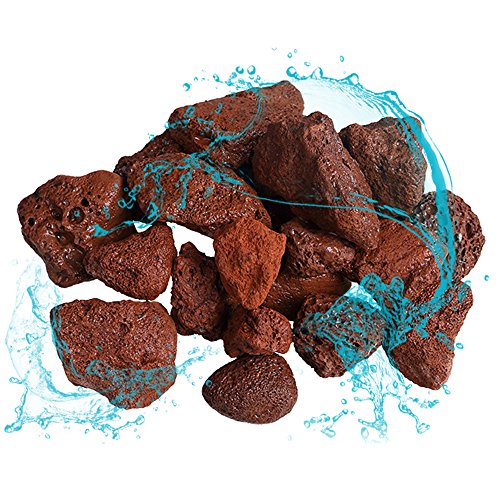 Your one-stop shop for diverse, top-quality aquarium supplies and accessories