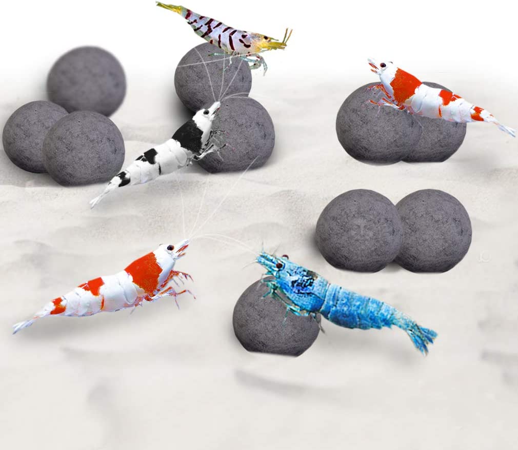 Your one-stop shop for diverse, top-quality aquarium supplies and accessories