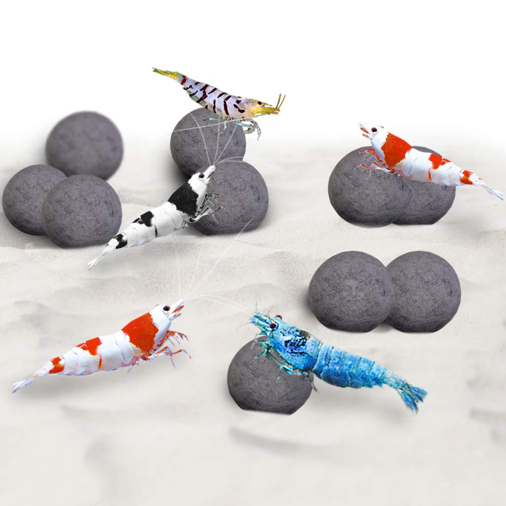 Your one-stop shop for diverse, top-quality aquarium supplies and accessories