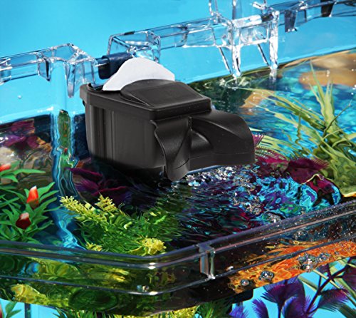 Your one-stop shop for diverse, top-quality aquarium supplies and accessories