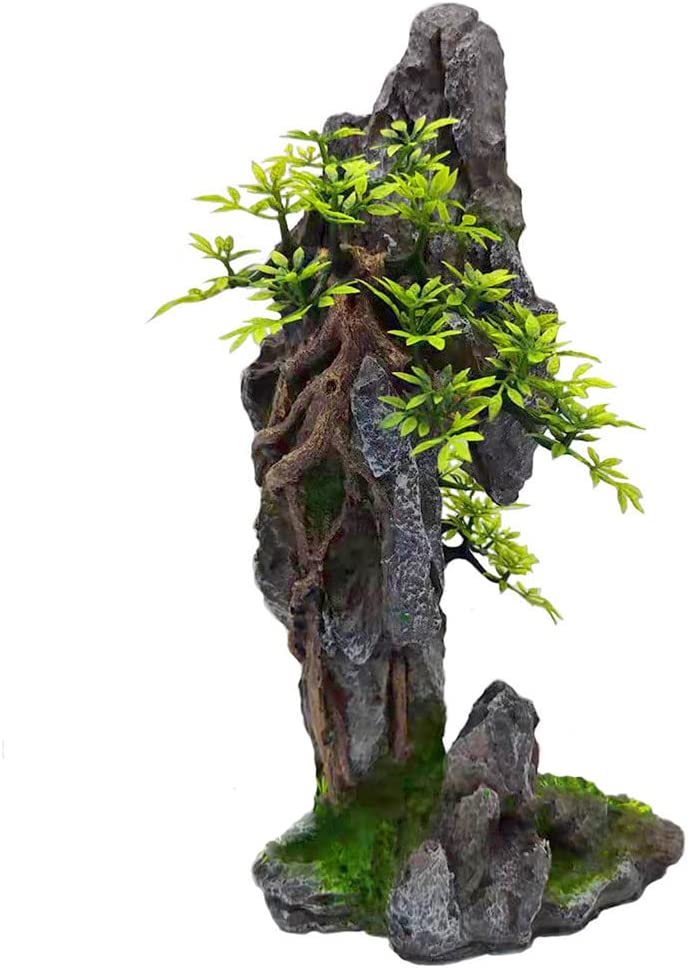Your one-stop shop for diverse, top-quality aquarium supplies and accessories