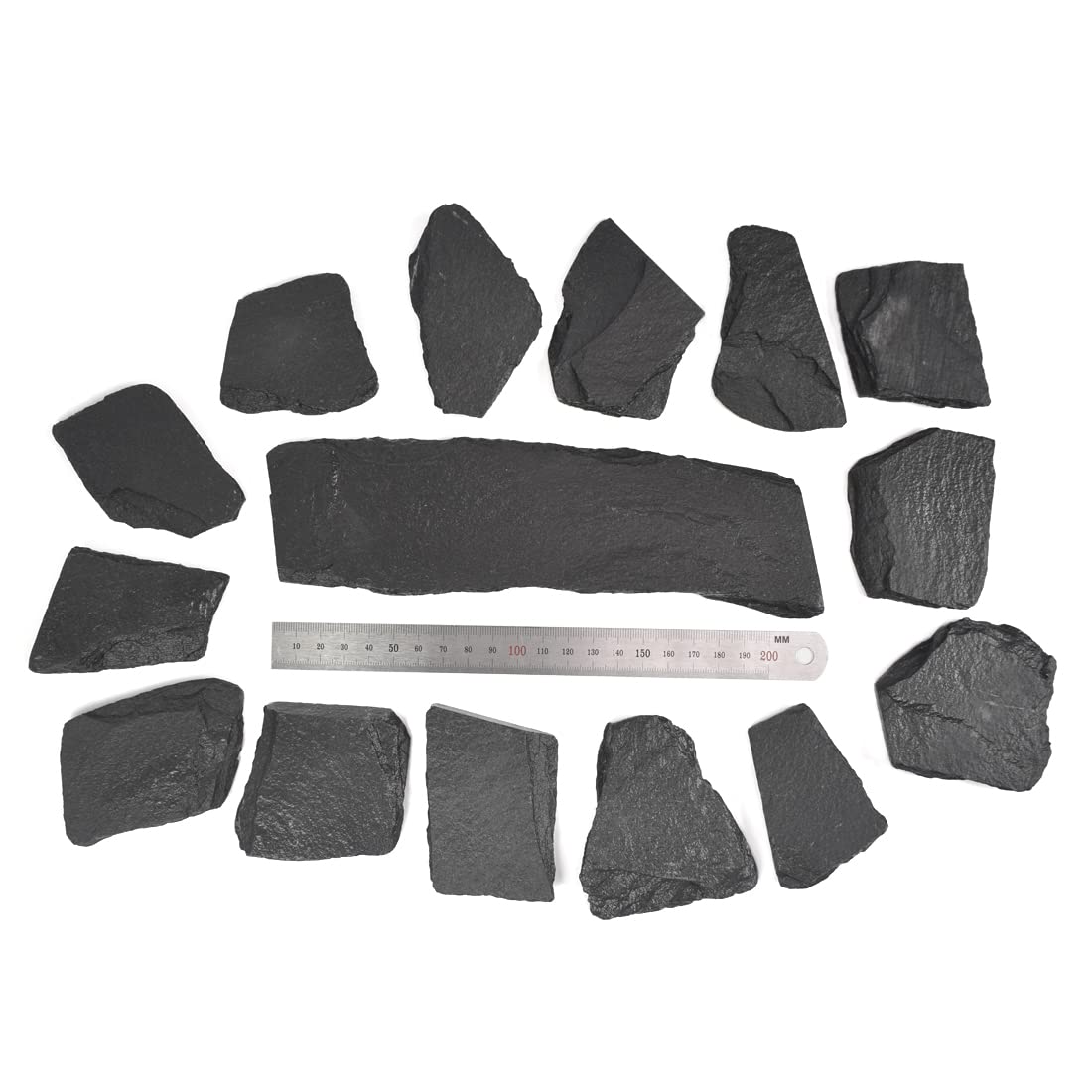 Your one-stop shop for diverse, top-quality aquarium supplies and accessories