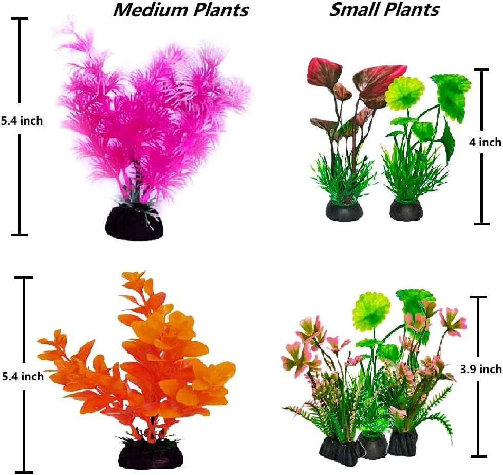 Your one-stop shop for diverse, top-quality aquarium supplies and accessories