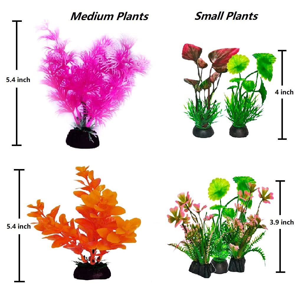 Your one-stop shop for diverse, top-quality aquarium supplies and accessories