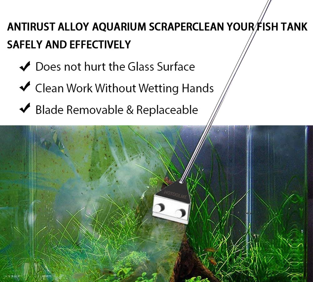 Your one-stop shop for diverse, top-quality aquarium supplies and accessories