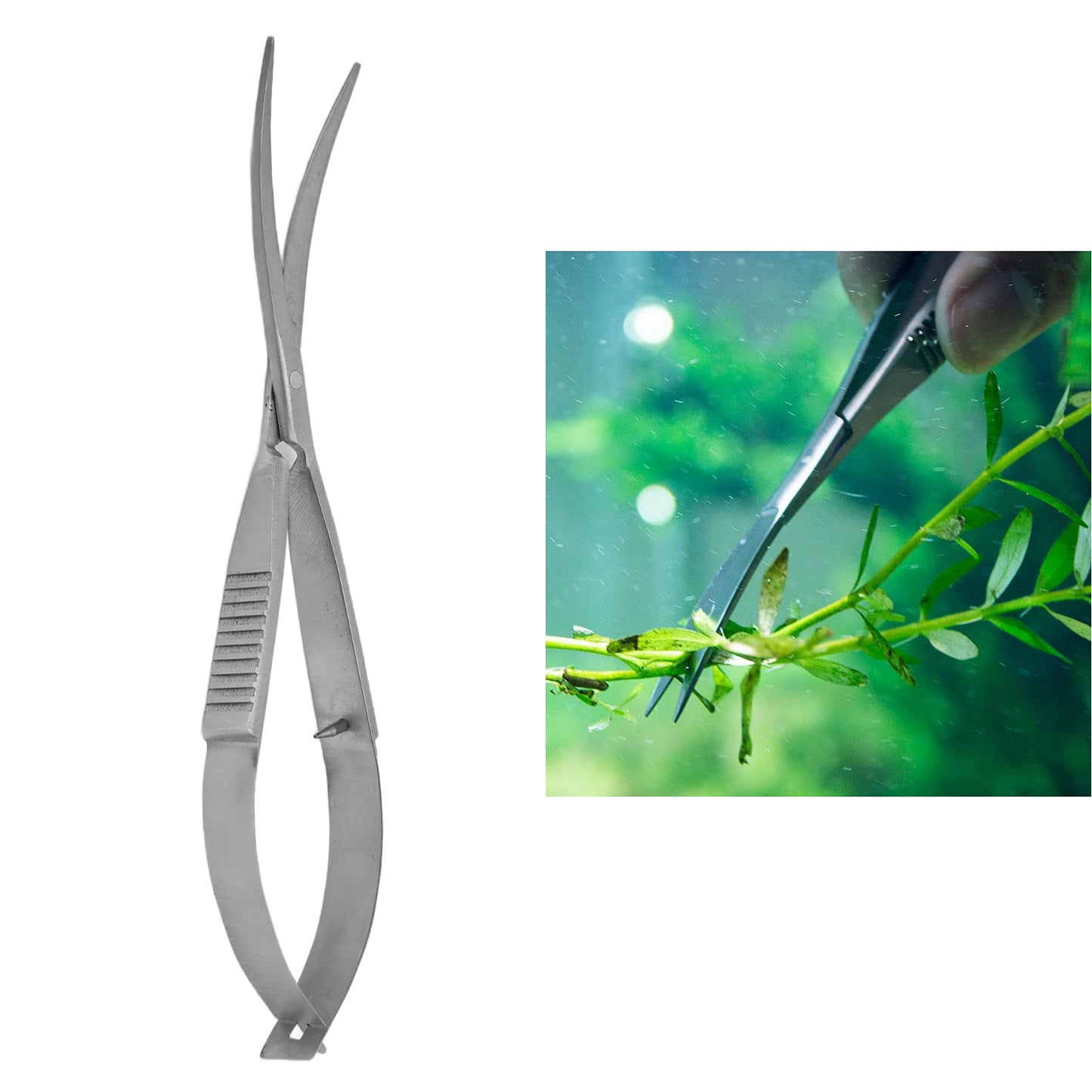 Your one-stop shop for diverse, top-quality aquarium supplies and accessories