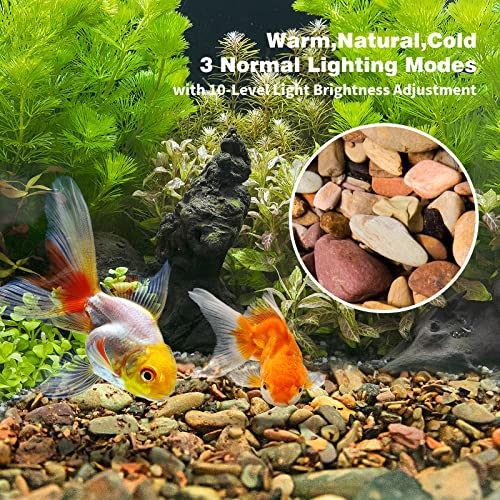 Your one-stop shop for diverse, top-quality aquarium supplies and accessories