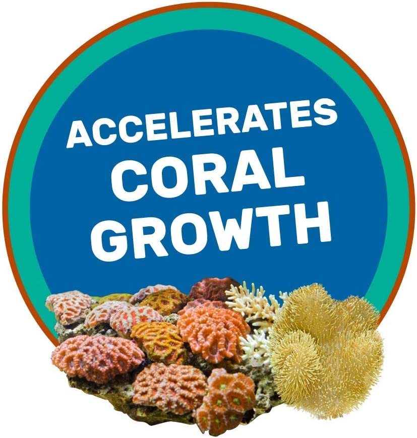 Your one-stop shop for diverse, top-quality aquarium supplies and accessories
