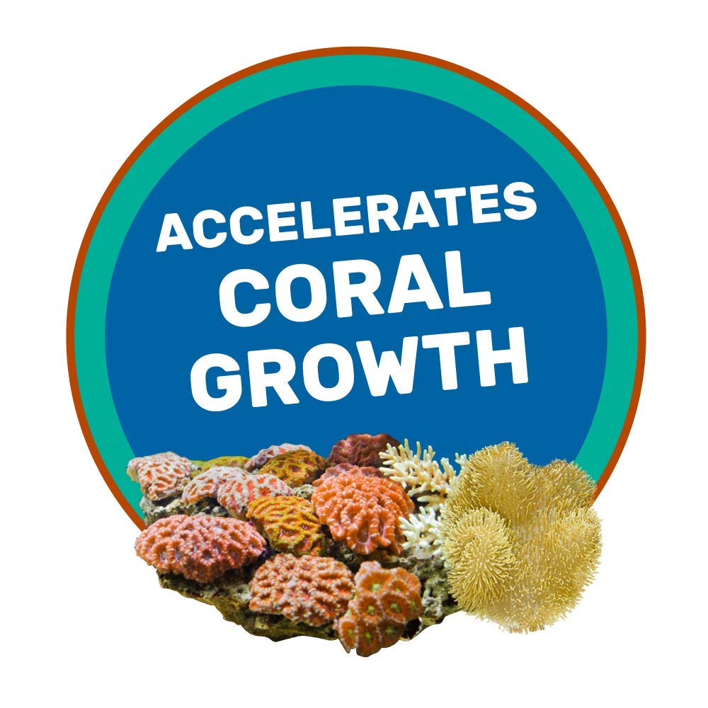 Your one-stop shop for diverse, top-quality aquarium supplies and accessories