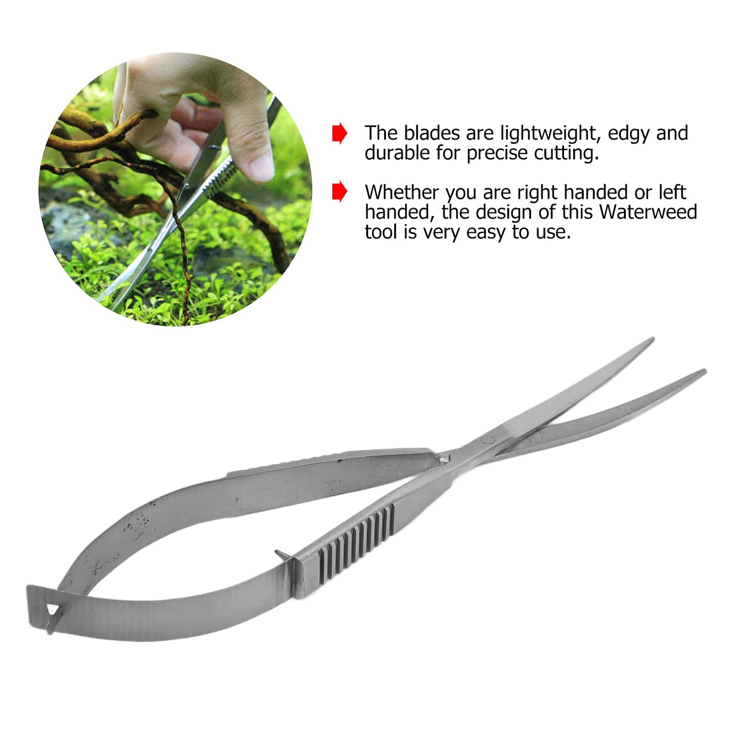 Your one-stop shop for diverse, top-quality aquarium supplies and accessories