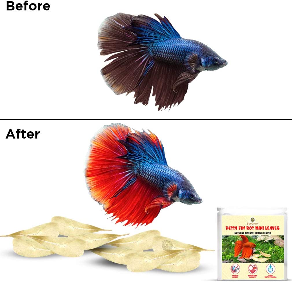 Your one-stop shop for diverse, top-quality aquarium supplies and accessories