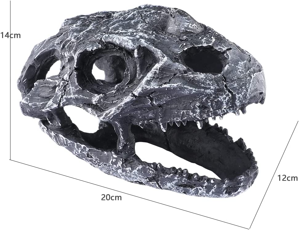 Your one-stop shop for diverse, top-quality aquarium supplies and accessories