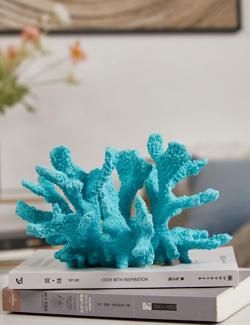 Your one-stop shop for diverse, top-quality aquarium supplies and accessories