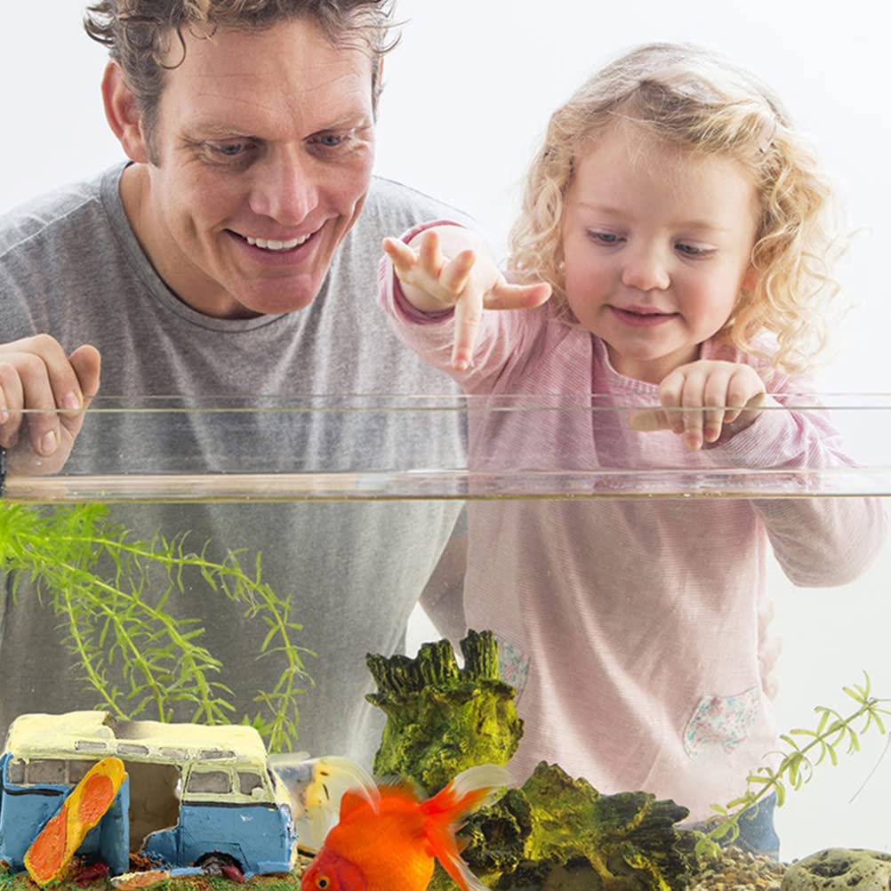 Your one-stop shop for diverse, top-quality aquarium supplies and accessories