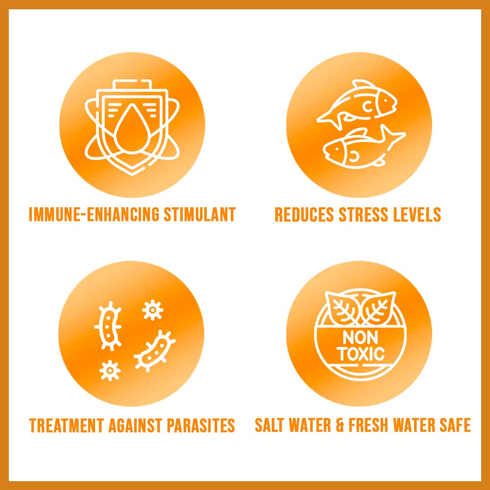 Your one-stop shop for diverse, top-quality aquarium supplies and accessories