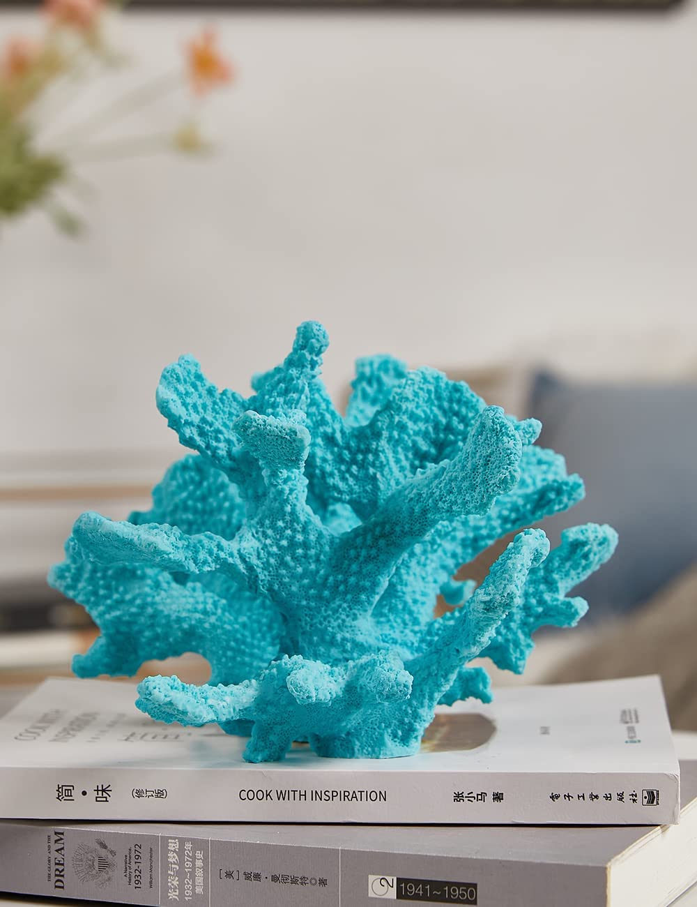 Your one-stop shop for diverse, top-quality aquarium supplies and accessories