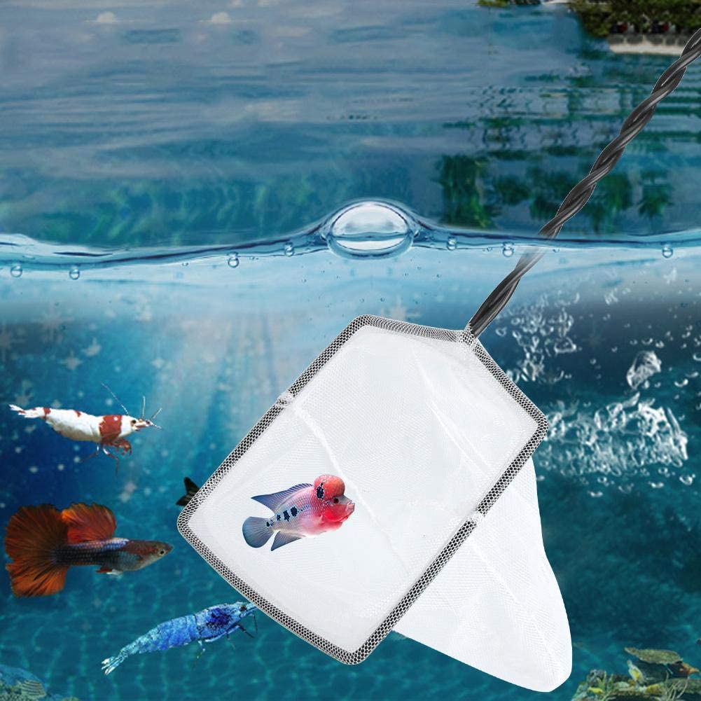 Your one-stop shop for diverse, top-quality aquarium supplies and accessories