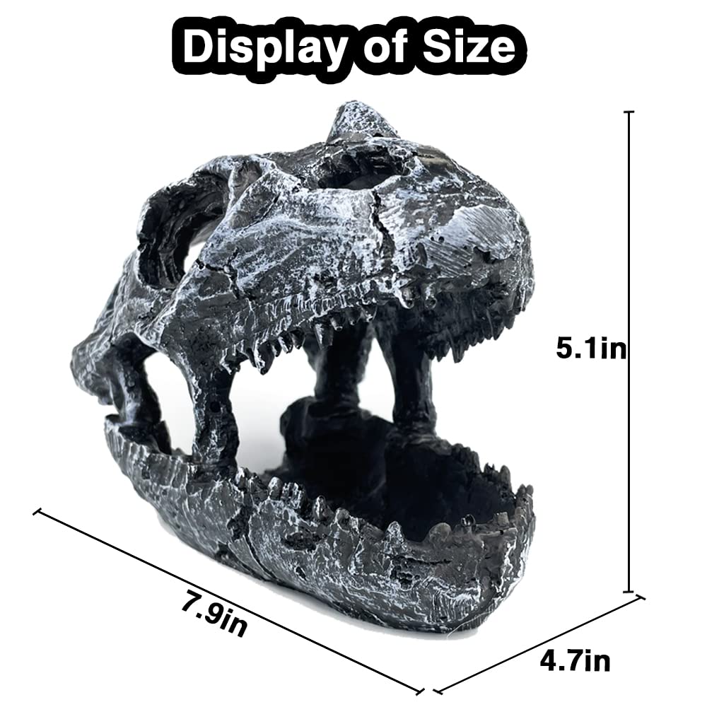 Your one-stop shop for diverse, top-quality aquarium supplies and accessories