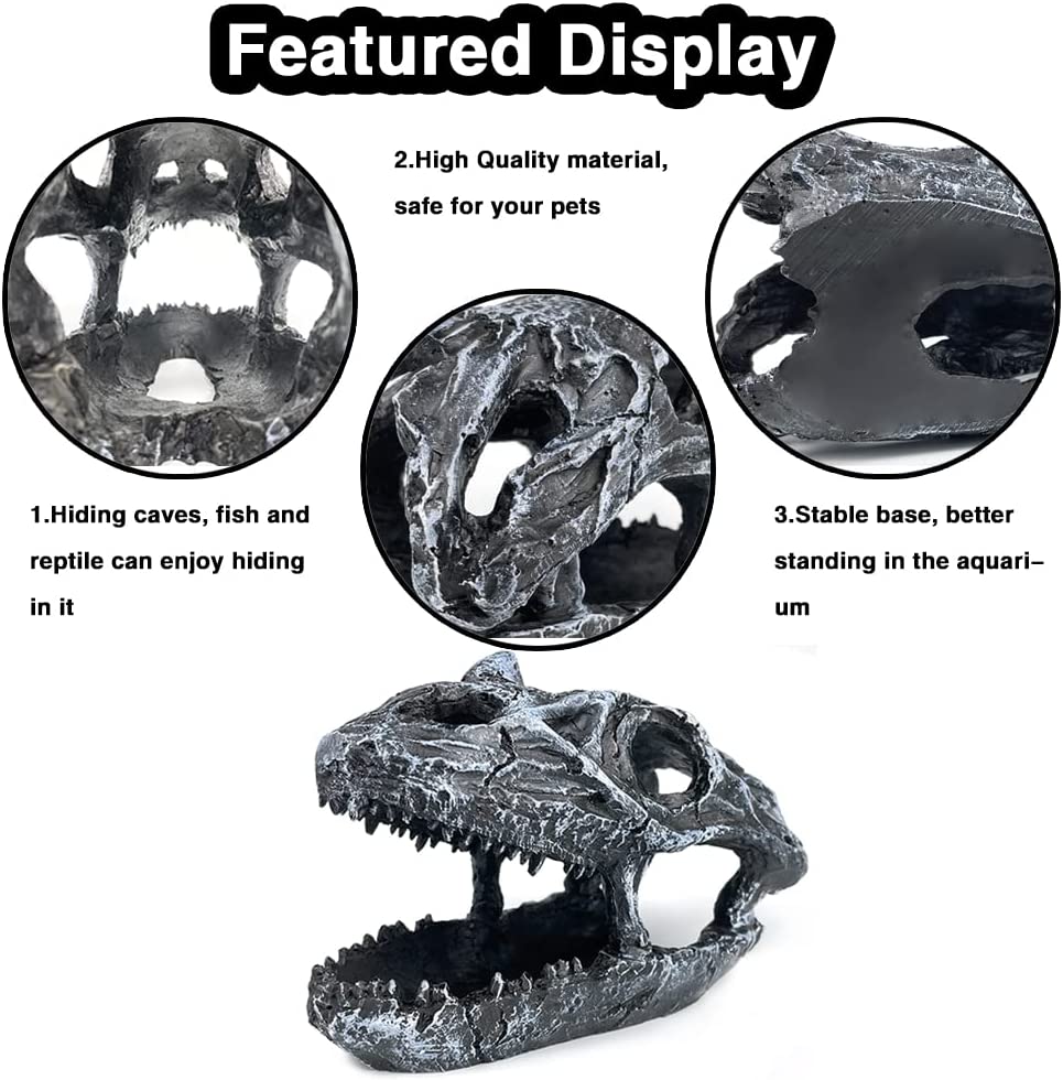 Your one-stop shop for diverse, top-quality aquarium supplies and accessories