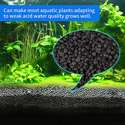 Your one-stop shop for diverse, top-quality aquarium supplies and accessories